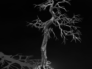 qianhui forest-difu-dead tree 002 Modello 3D