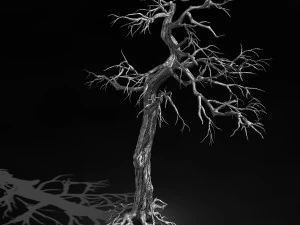 qianhui forest-difu-dead tree 002 3D Model