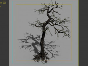 qianhui forest-difu-dead tree 002 Modello 3D