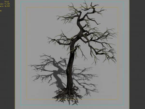 qianhui forest-difu-dead tree 002 3D Model