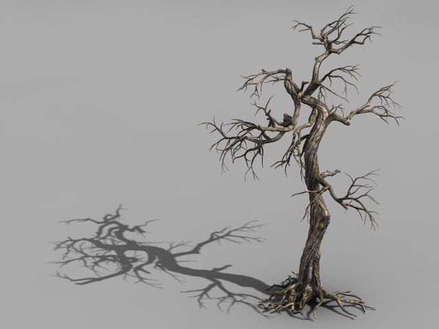 qianhui forest-difu-dead tree 003 Model 3D .c4d .max .obj .3ds .fbx .stl .blend 
