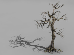 qianhui forest-difu-dead tree 003 3D Модель