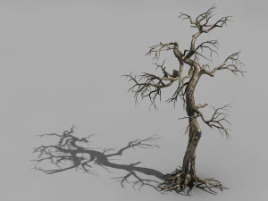 qianhui foresta-difu-albero morto 003 Modello 3D