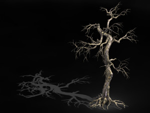 qianhui forest-difu-dead tree 003 Model 3D