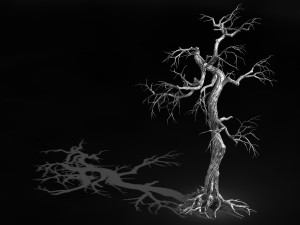 qianhui forest-difu-dead tree 003 Model 3D