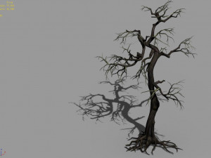 qianhui forest-difu-dead tree 003 Model 3D