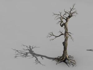 qianhui forest-difu-withered tree 004 Modelo 3D