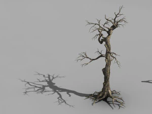 &aacute;rvore qianhui floresta-difu-murchada 004 Modelo 3D