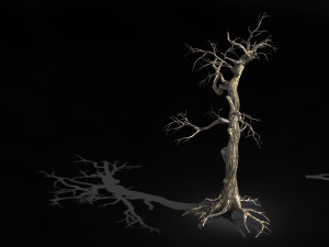 qianhui forest-difu-withered tree 004 Model 3D