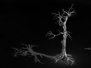 qianhui forest-difu-withered tree 004 Model 3D