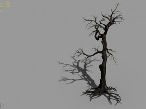 qianhui forest-difu-withered tree 004 Model 3D