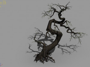 qianhui forest-difu-dead tree 005 3D Model