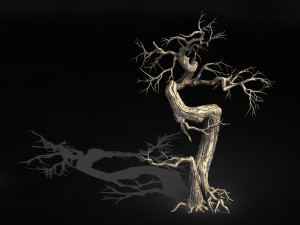 qianhui forest-difu-dead tree 006 Modello 3D