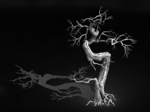 qianhui forest-difu-dead tree 006 Modello 3D