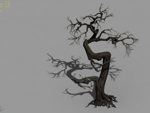 qianhui forest-difu-dead tree 006 Modello 3D