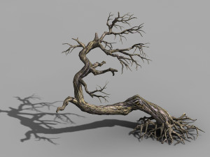 qianhui forest-difu-dead tree 007 3Dモデル