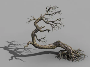qianhui foresta-difu-albero morto 007 Modello 3D