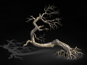 qianhui forest-difu-dead tree 007 3D 模型