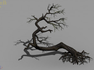 qianhui forest-difu-dead tree 007 3D 模型