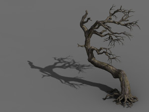 qianhui forest-difu-withered tree 008 Modelo 3D