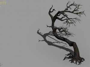 qianhui forest-difu-withered tree 008 Modelo 3D