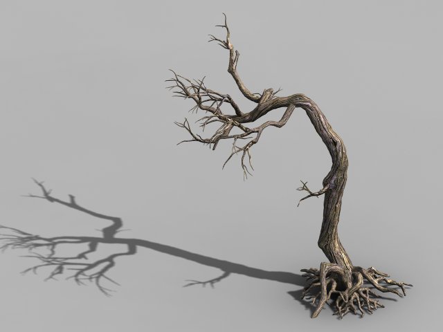 qianhui forest-difu-withered tree 009 Model 3D .c4d .max .obj .3ds .fbx .stl .blend
