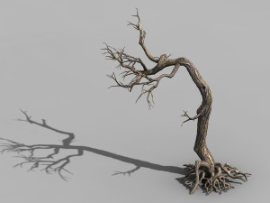 qianhui forest-difu-withered tree 009 Modelo 3D
