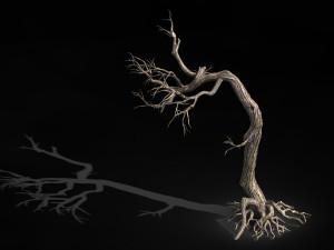 qianhui forest-difu-withered tree 009 Model 3D