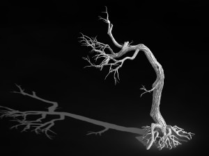 qianhui forest-difu-withered tree 009 Model 3D