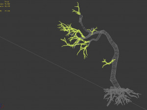 qianhui forest-difu-withered tree 009 Model 3D