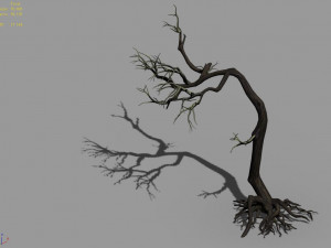 qianhui forest-difu-withered tree 009 Model 3D