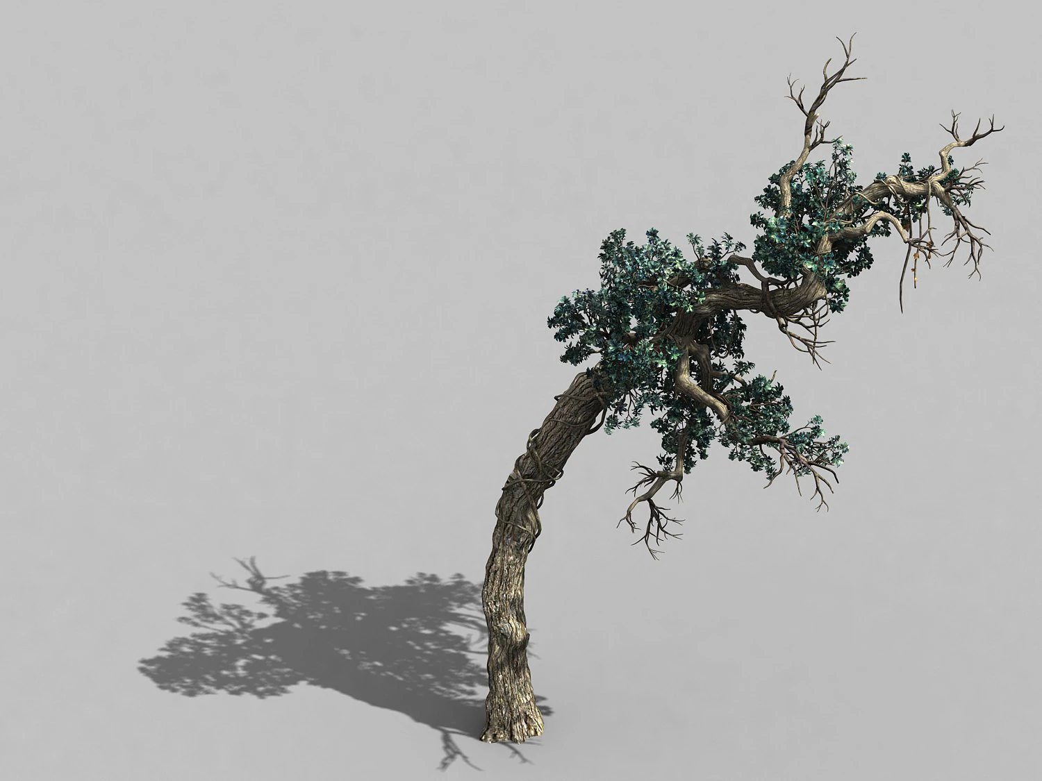 qianhui forest-difu-vine tree 051 3D Model .c4d .max .obj .3ds .fbx .stl .blend 