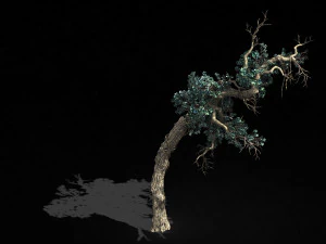 qianhui forest-difu-vine tree 051 3D Model