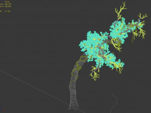 qianhui forest-difu-vine tree 051 3D Model