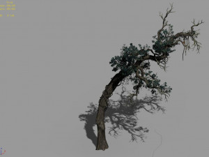 qianhui forest-difu-vine tree 051 Modello 3D
