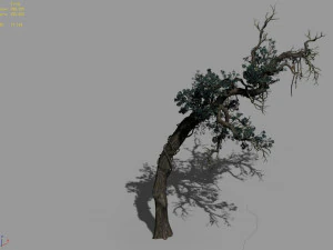 qianhui forest-difu-vine tree 051 3D Model
