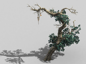 qianhui forest-difu-vine tree 052 3Dモデル