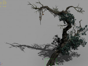 qianhui forest-difu-vine tree 052 3D Model