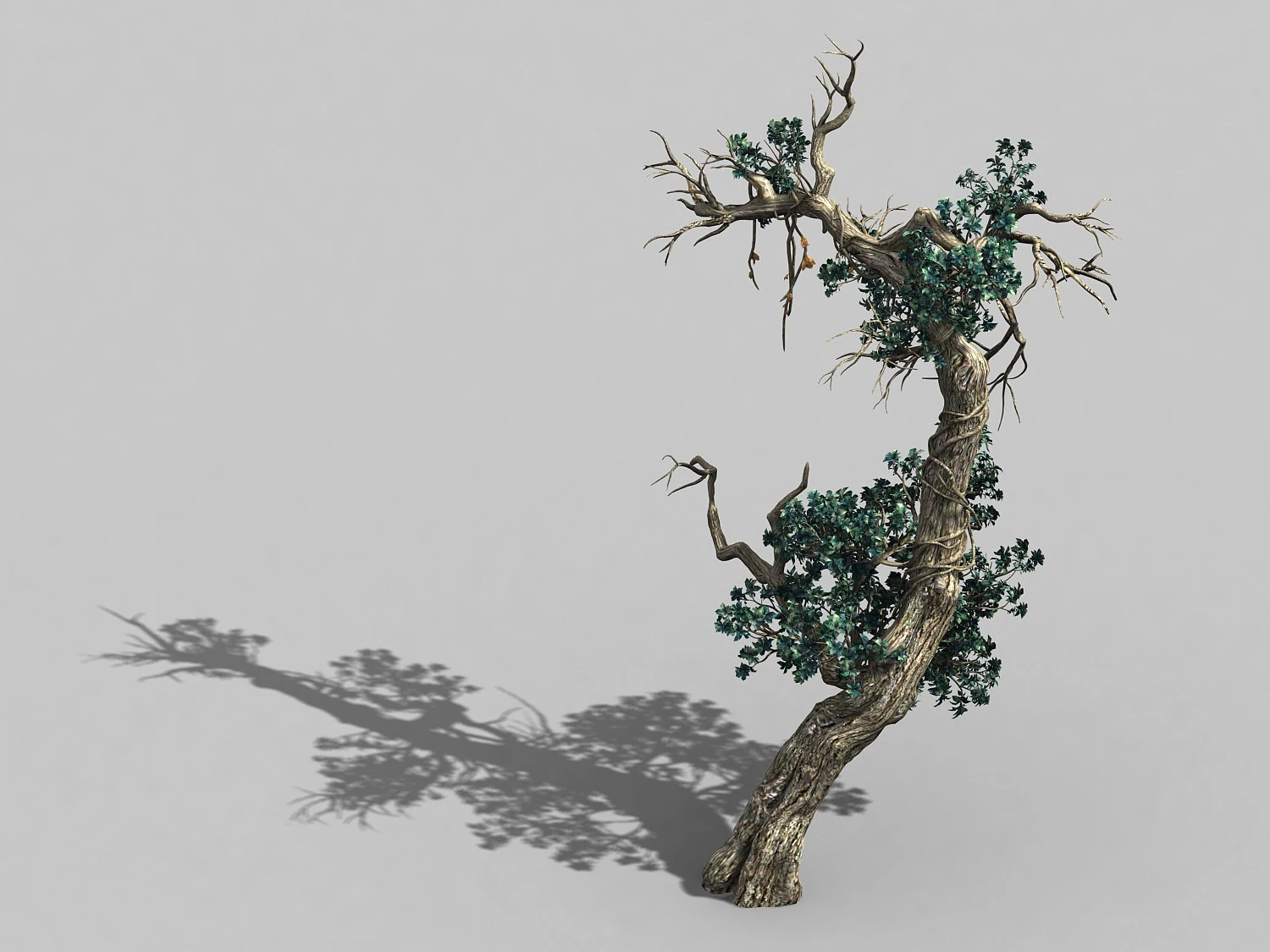 qianhuilin-difu-vine tree 054 3D Model .c4d .max .obj .3ds .fbx .stl .blend 