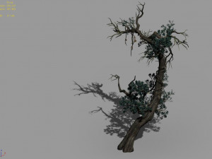 qianhuilin-difu-vine tree 054 3D Модель