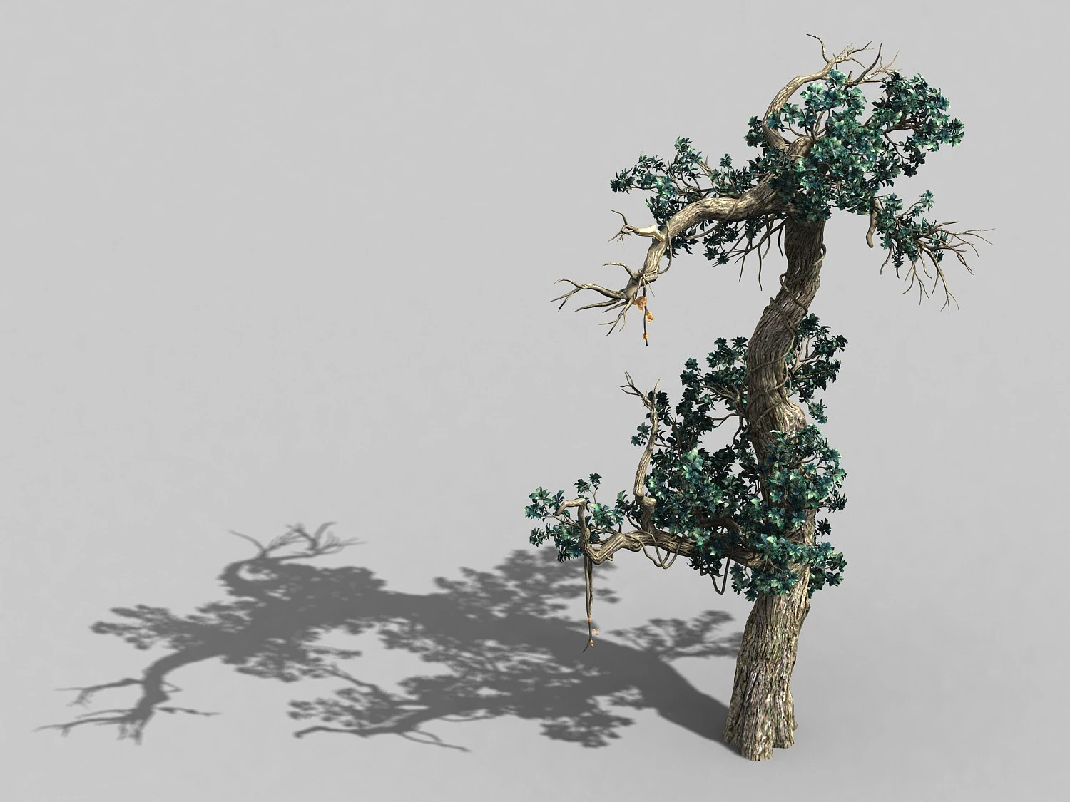 qianhui forest-difu-vine tree 057 3D Model .c4d .max .obj .3ds .fbx .stl .blend 