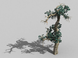 qianhui forest-difu-vine tree 057 3Dモデル
