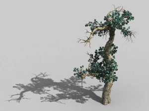 qianhui forest-difu-vine tree 057 3D Model