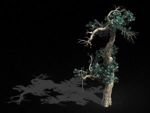 qianhui forest-difu-vine tree 057 3D Model