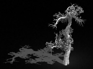 qianhui forest-difu-vine tree 057 3D Model