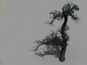 qianhui forest-difu-vine tree 057 3D Model