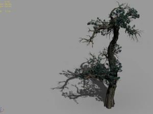 qianhui forest-difu-vine tree 057 3D Model