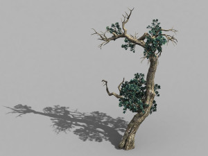 qianhui forest-difu-vine tree 059 3Dモデル