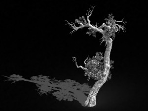 qianhui forest-difu-vine tree 059 3D 모델