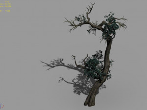 qianhui forest-difu-vine tree 059 3D 모델